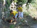 Ver�n 2007